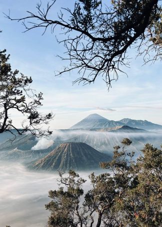 BROMO JAVA ADVENTURE