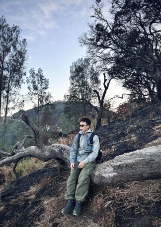 BROMO FIRE FOREST BROMO JAVA ADVENTURE